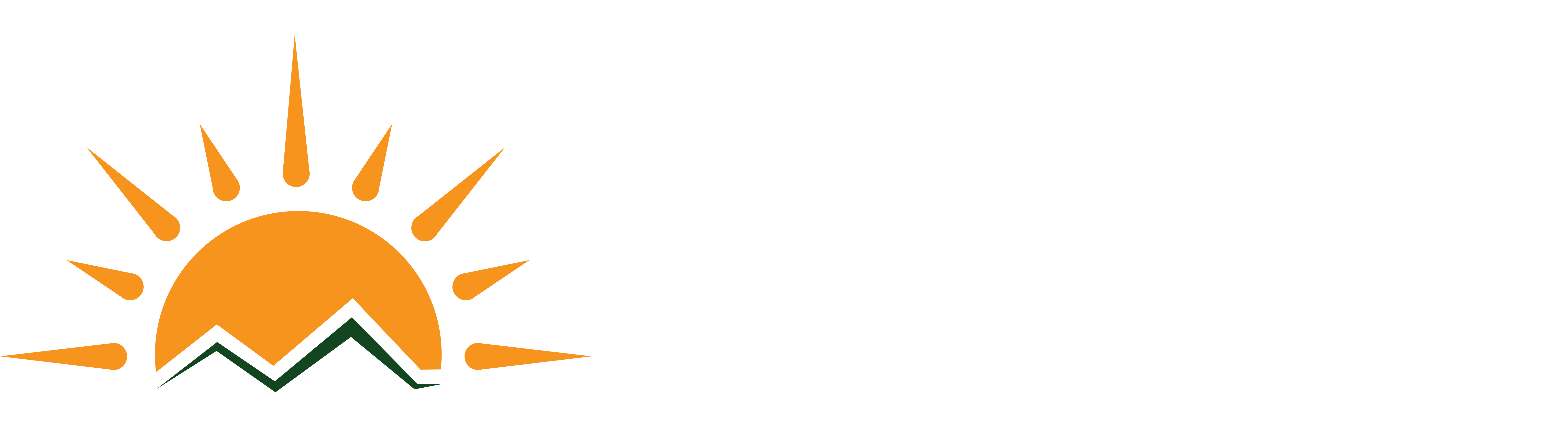 Lotsha Foundation Logo